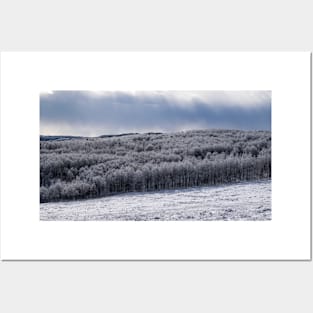 Foothills after Fresh Snow. Posters and Art